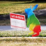 Google Fiber Rabbit