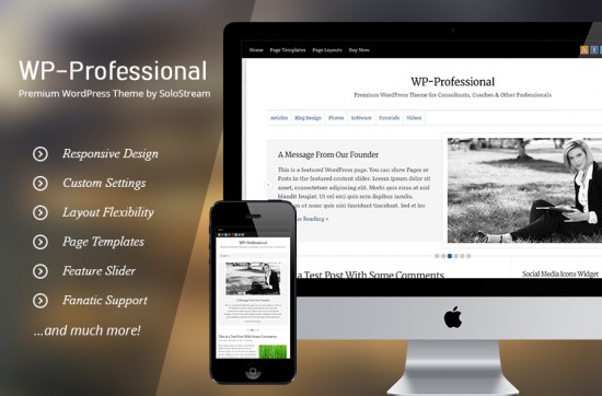 WP Professional Theme