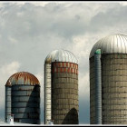 The Silo Effect: Did the Evolution of Business Take a Wrong Turn?